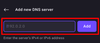 Enter the new DNS server address