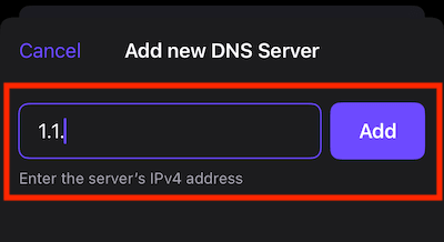 How to use custom DNS on iOS and iPadOS 4