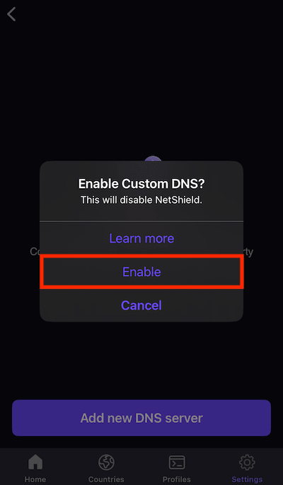 How to use custom DNS on iOS and iPadOS 3