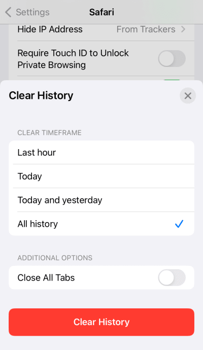 Delete Safari history on iOS and iPadOS