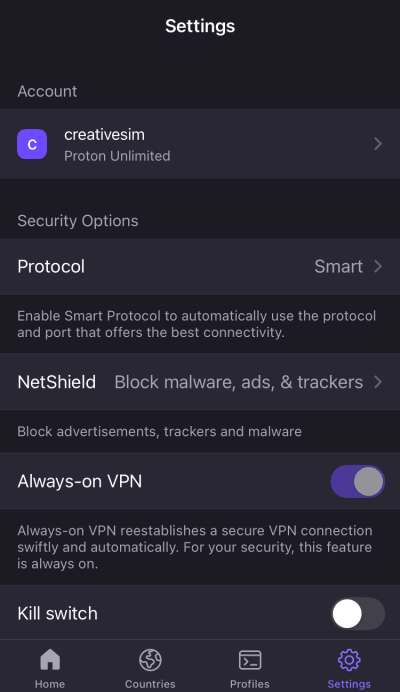 Proton VPN iOS app settings