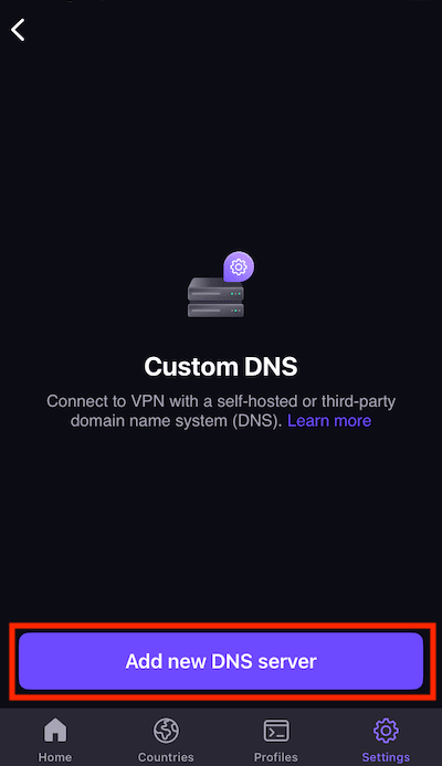 How to use custom DNS on iOS and iPadOS 2