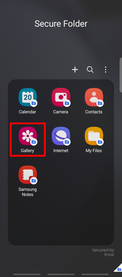 Access the Gallery app from within Secure Folder