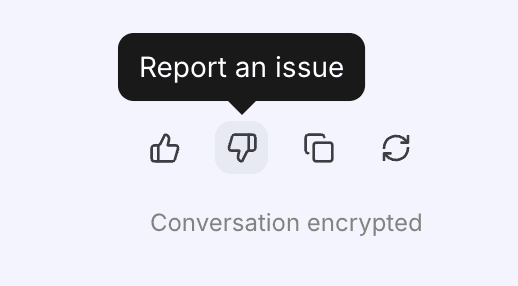 Report an issue screen in Lumo