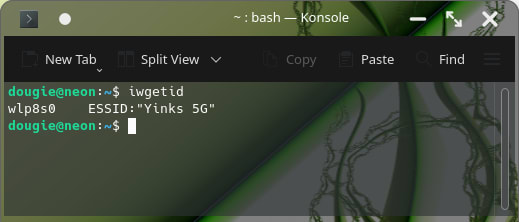 Find SSID using a Linux terminal