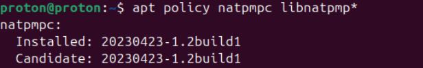 Verify your natpmpc version