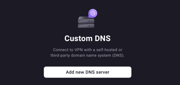 Custom DNS on Android TV 2