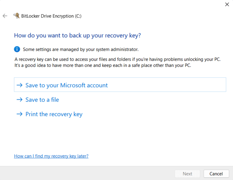 Windows Pro recovery key backup options