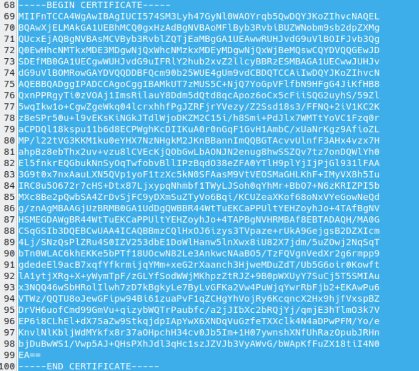 The OpenVPN TLS certificate