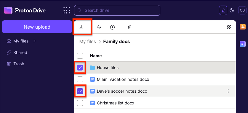 Download button in Proton Drive secure file storage