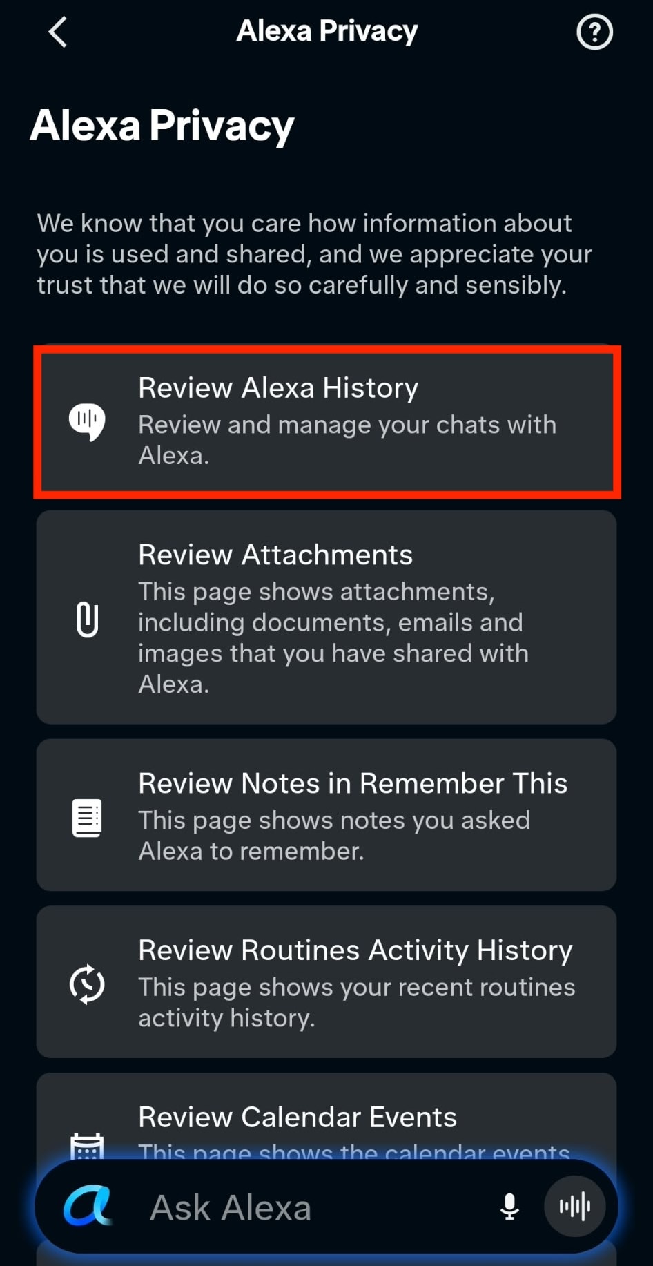 The 'Alexa Privacy' panel highlights the 'Review Alexa History' setting