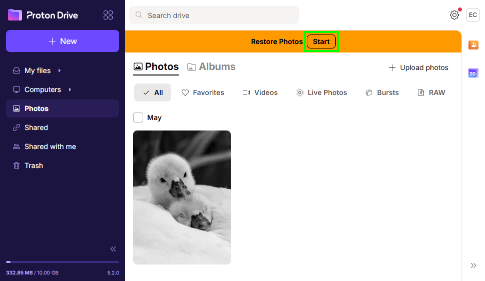 Proton Drive asks to start restoring photos