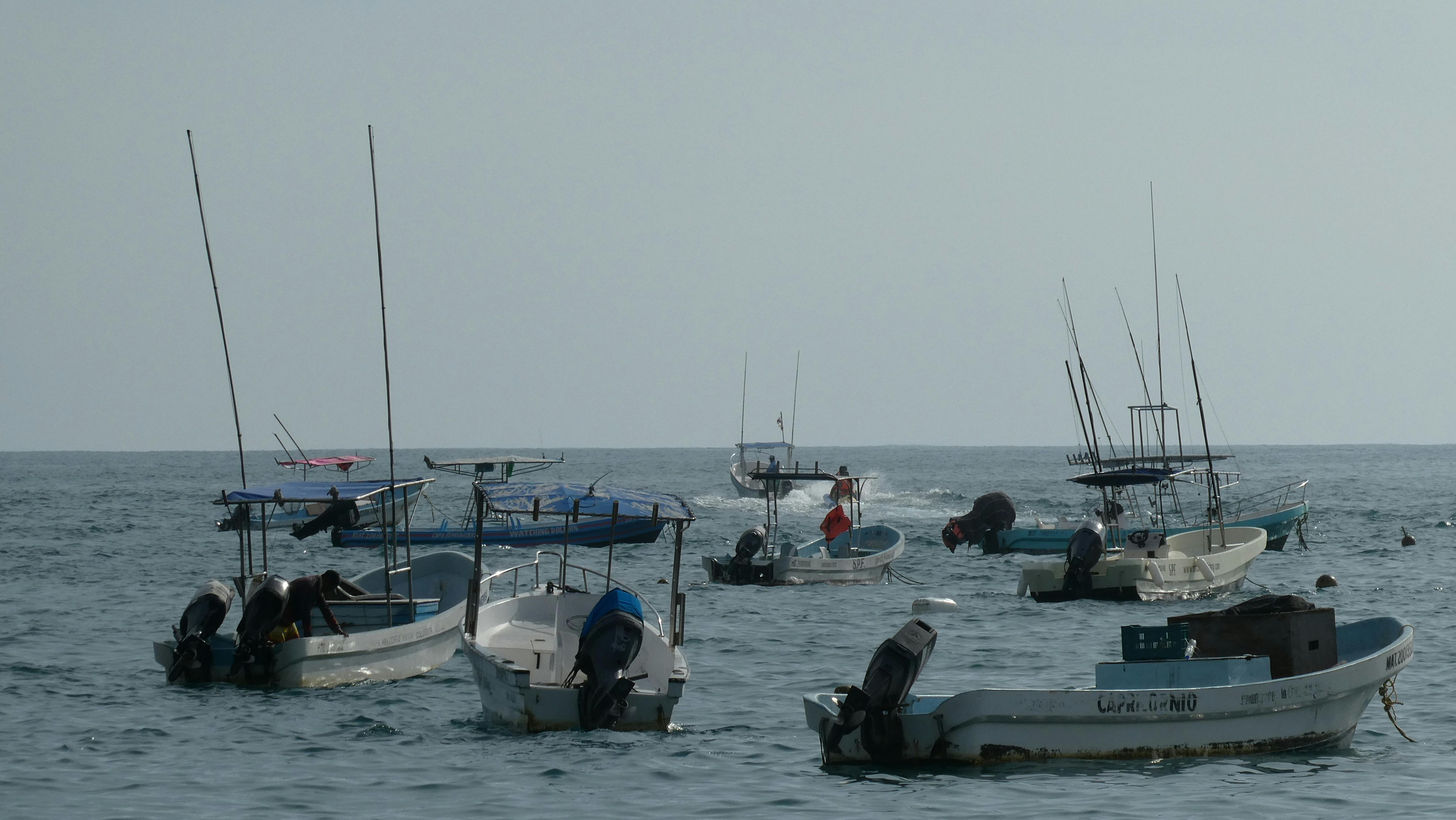 Panoramic view of Puerto Escondido coastline with waves and palm trees