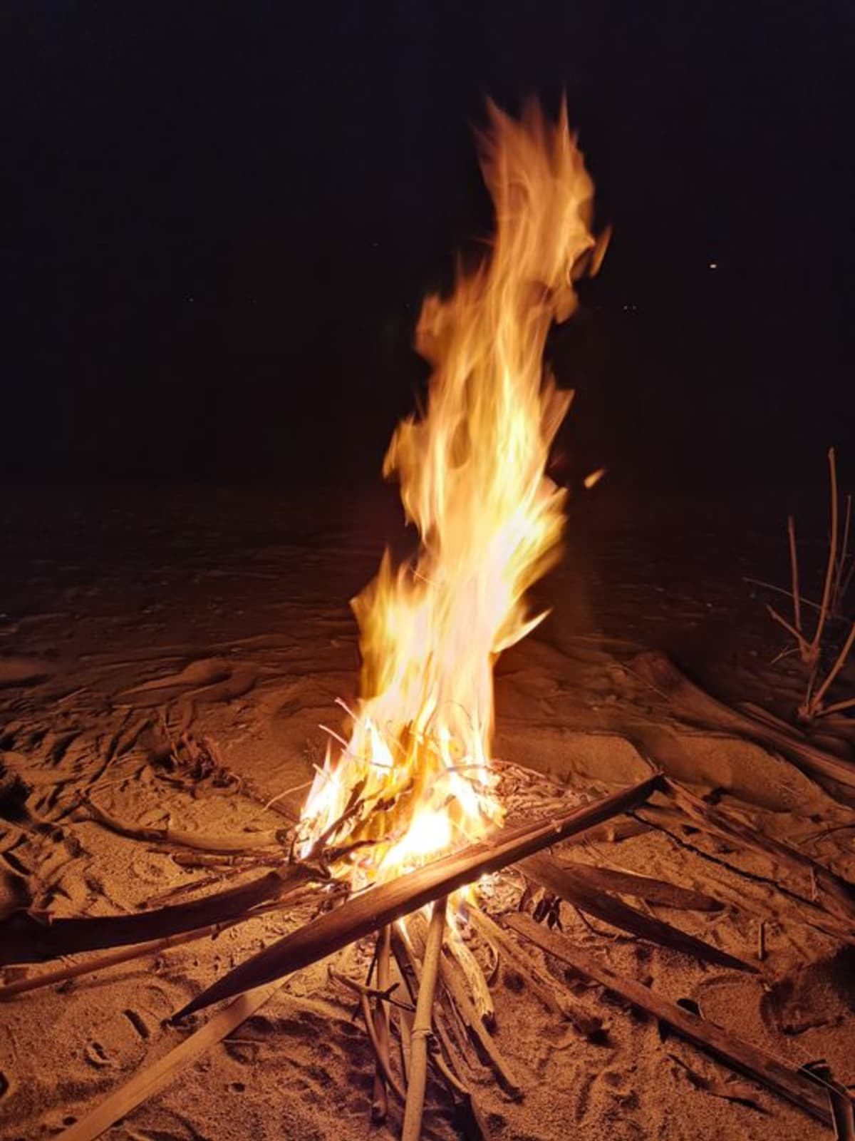 Campfire burning on the beach at night near Puerto Escondido during a camping trip