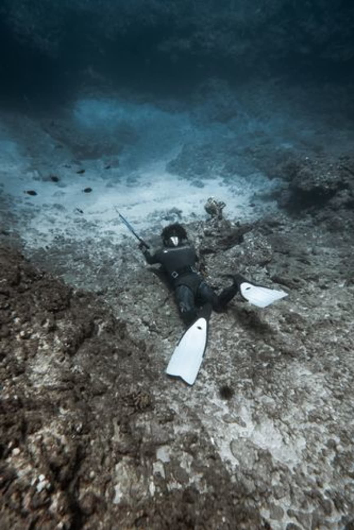 Chasseur sous-marin en combinaison avec harpon explorant une structure rocheuse sous-marine au large du Pacifique mexicain