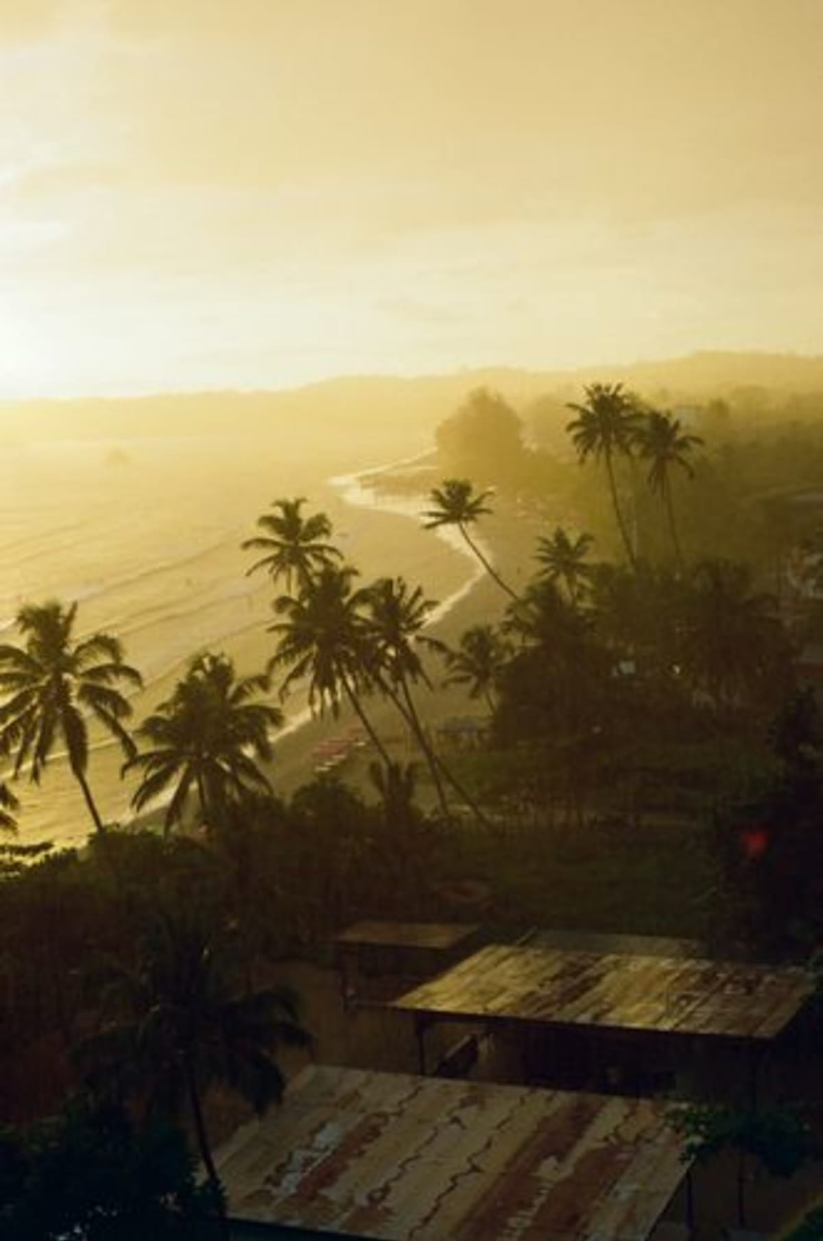 Tropical beach with palm trees and golden sunset light in Puerto Escondido Oaxaca Mexico in summer