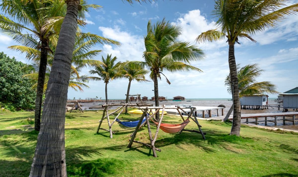 Hammocks under coconut palms by the sea, a slow winter day on the Mexican coast