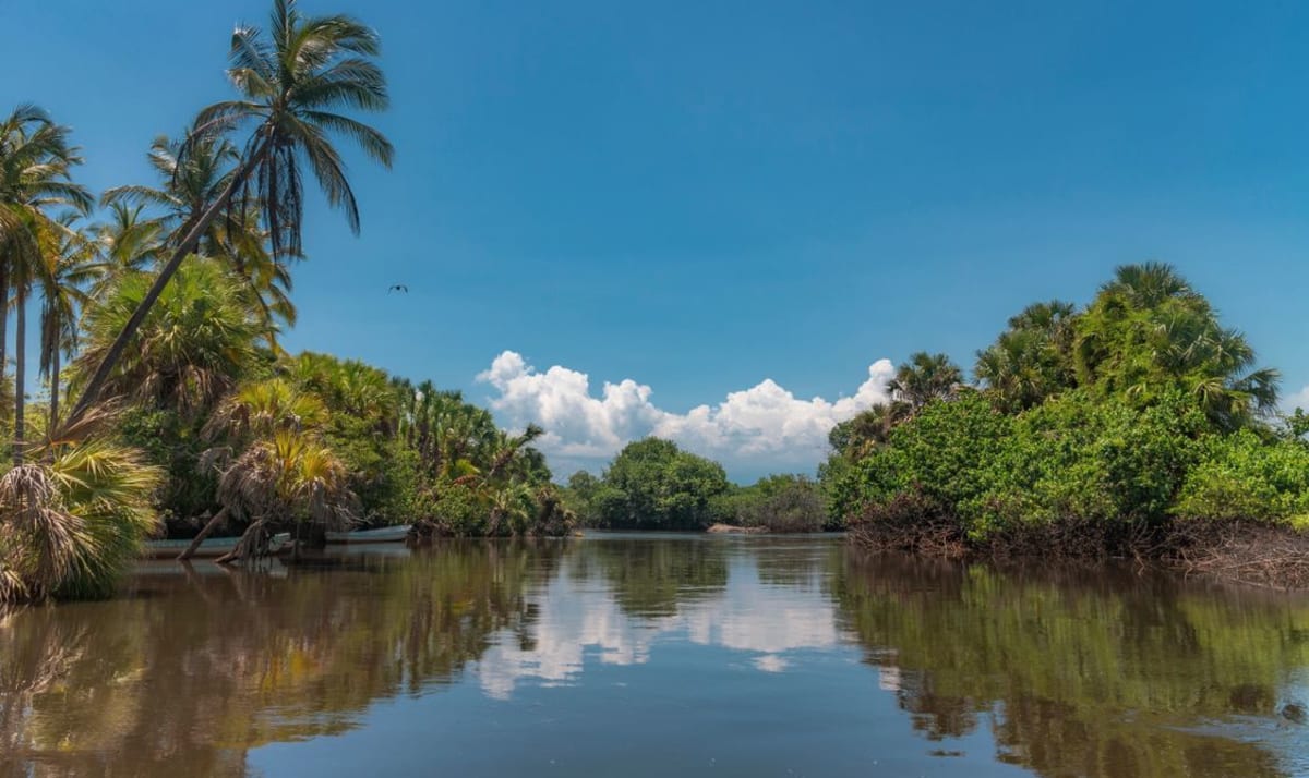 Laguna y estero de manglar en La Ventanilla, Oaxaca