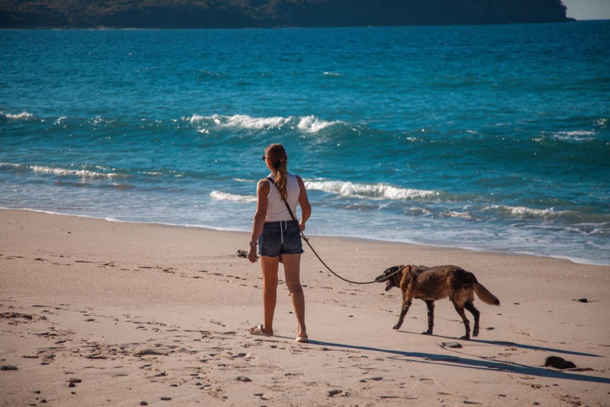 Woman walking her dog along a Pacific coast beach in Mexico, golden sand and ocean waves in background