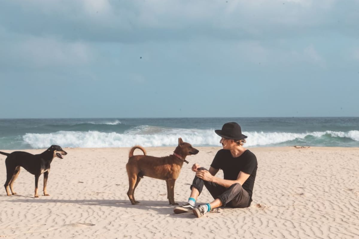 Man relaxing on a sandy beach with two dogs beside the ocean on a sunny day in Mexico