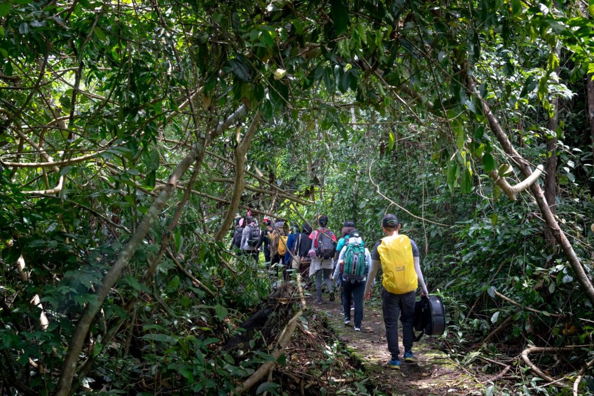 Hikers with backpacks walking a jungle trail near Puerto Escondido Mexico