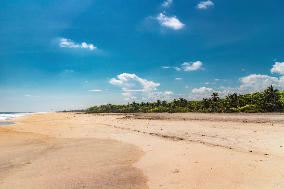Wild Pacific beach with golden sand, waves, and blue sky with no urban development on the horizon