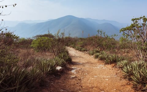 How to Get From Oaxaca to Puerto Escondido: Bus, Flight & Transfer