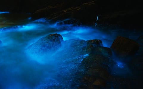 The Glowing Beach in Oaxaca: Where the Water Lights Up at Night