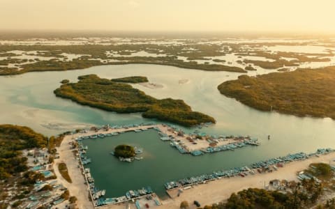 Laguna de Chacahua: The Complete Guide to Oaxaca's Crocodile Lagoon
