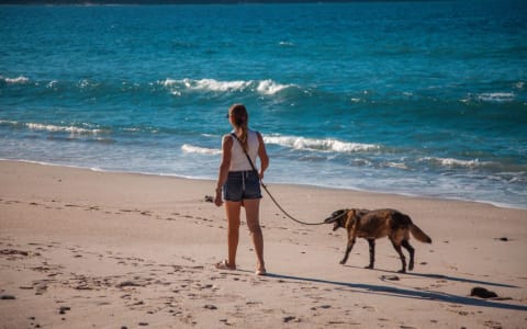 Pet Travel to Puerto Escondido: Airlines, Beaches & Vet Clinics
