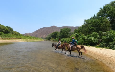 Lush tropical surroundings of San José de Manialtepec village
