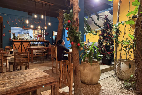 DELICIA DE MI TIERRA TULUM