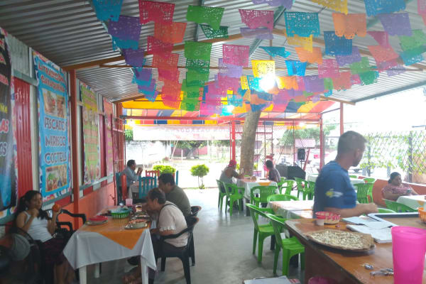 La Tradición Oaxaqueña