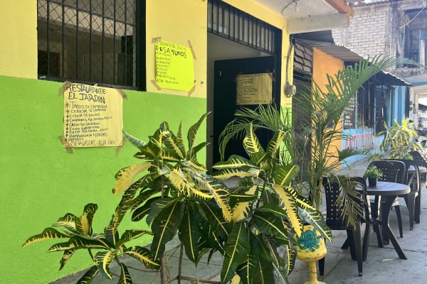 El jardín