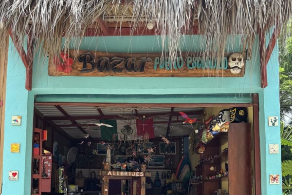Bazar Puerto Escondido