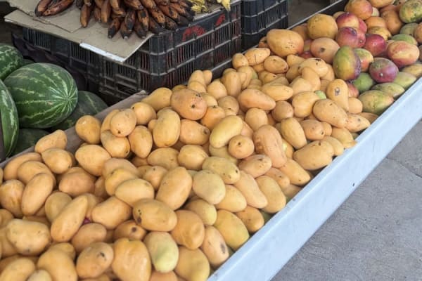 Central Frutas y verduras PXM