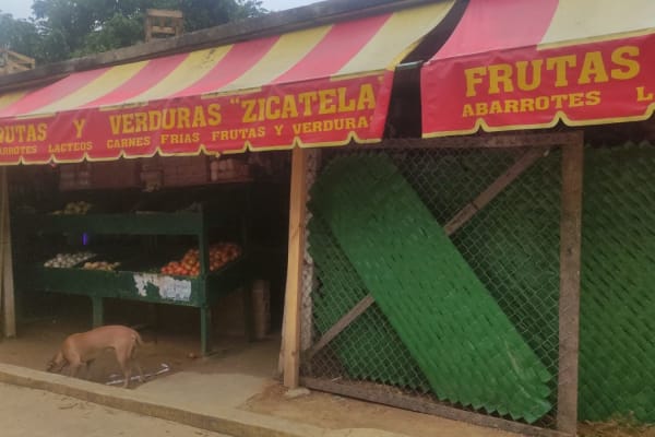 Frutas y verduras zicatela