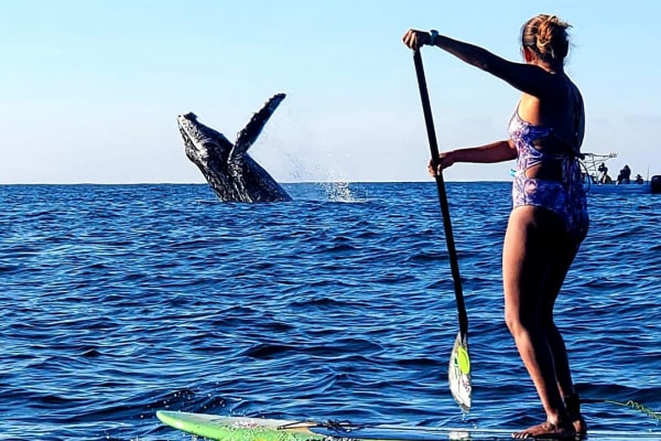 STAND UP PADDLE (SUP) PXM"DMC" (Clases impartidas por mujeres)
