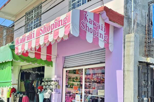 Kawaii Shoping