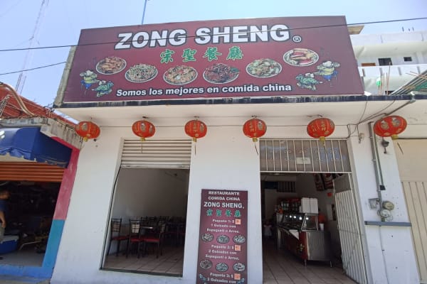 ZONG SHENG