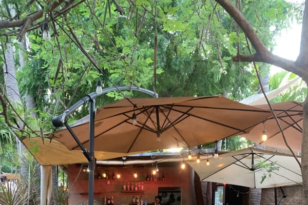 Mestizo Restaurante