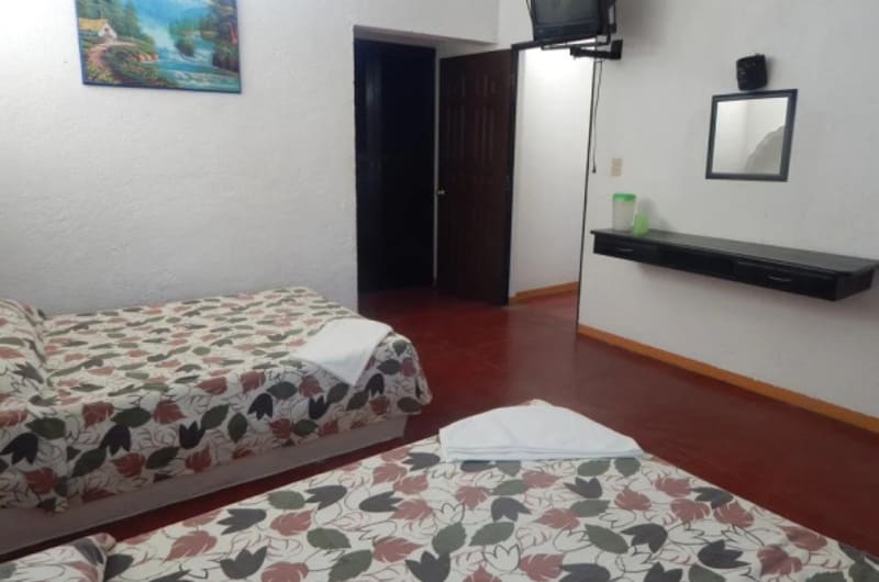 Hotel Albatros — photo 3