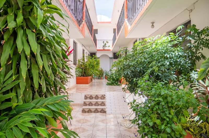 OYO Hotel Arena Surf, Puerto Escondido — photo 2