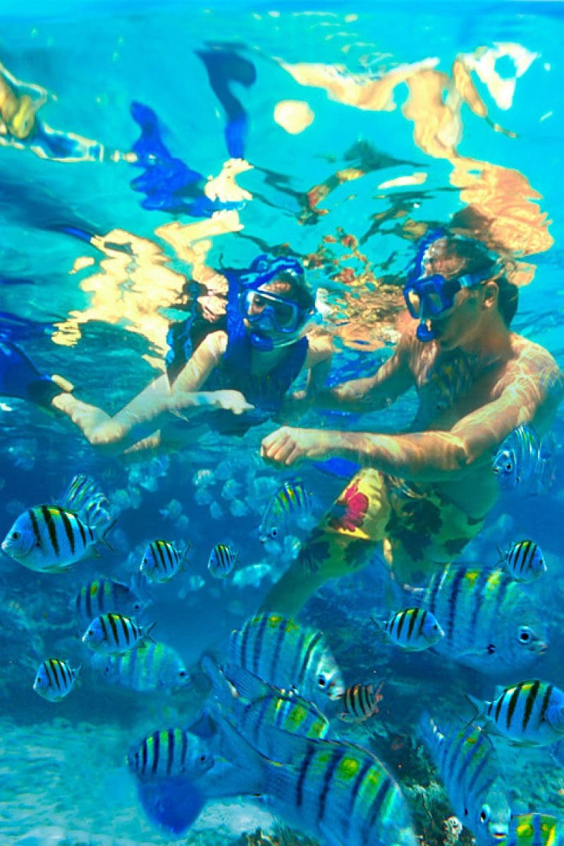 Snorkeling Privé