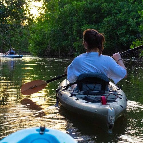 Kayak Privé dans la Mangrove