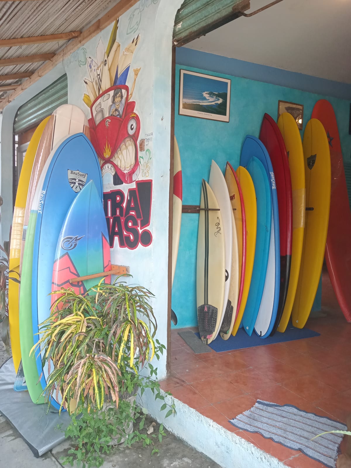 OTRA MAS SURFBOARDS