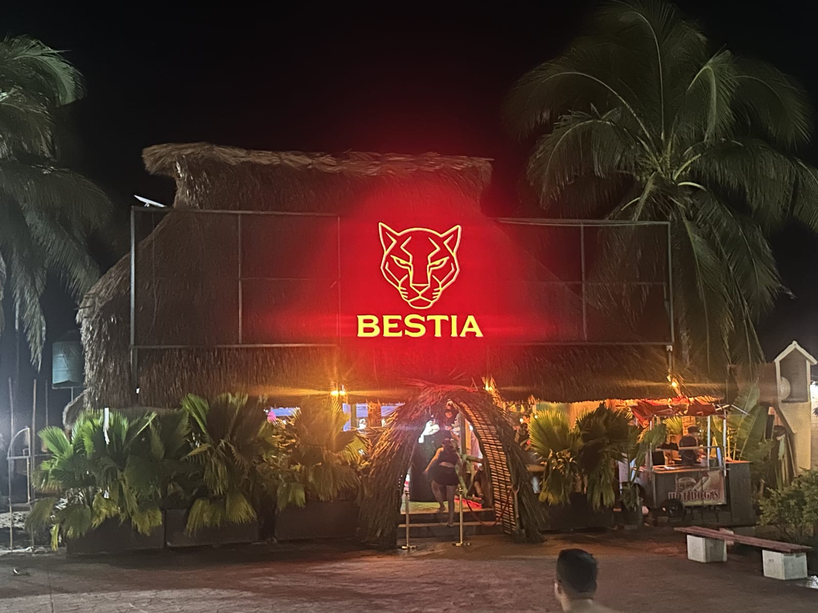 BESTIA | Bar Instintivo