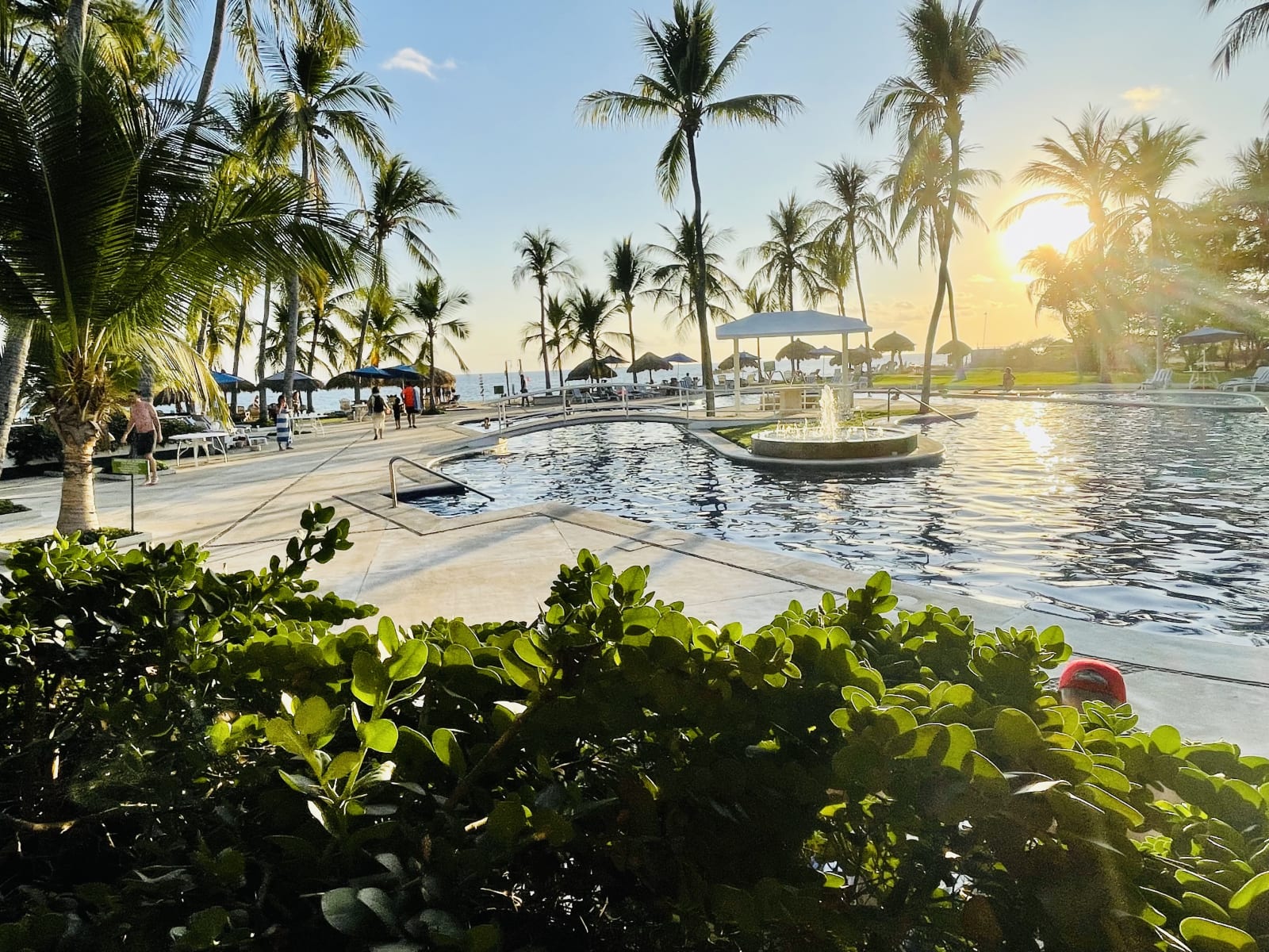Coconuts Beach Club