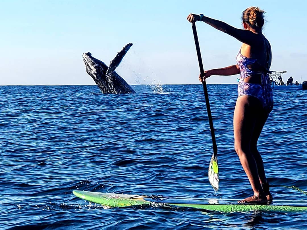 STAND UP PADDLE (SUP) PXM"DMC" (Clases impartidas por mujeres)