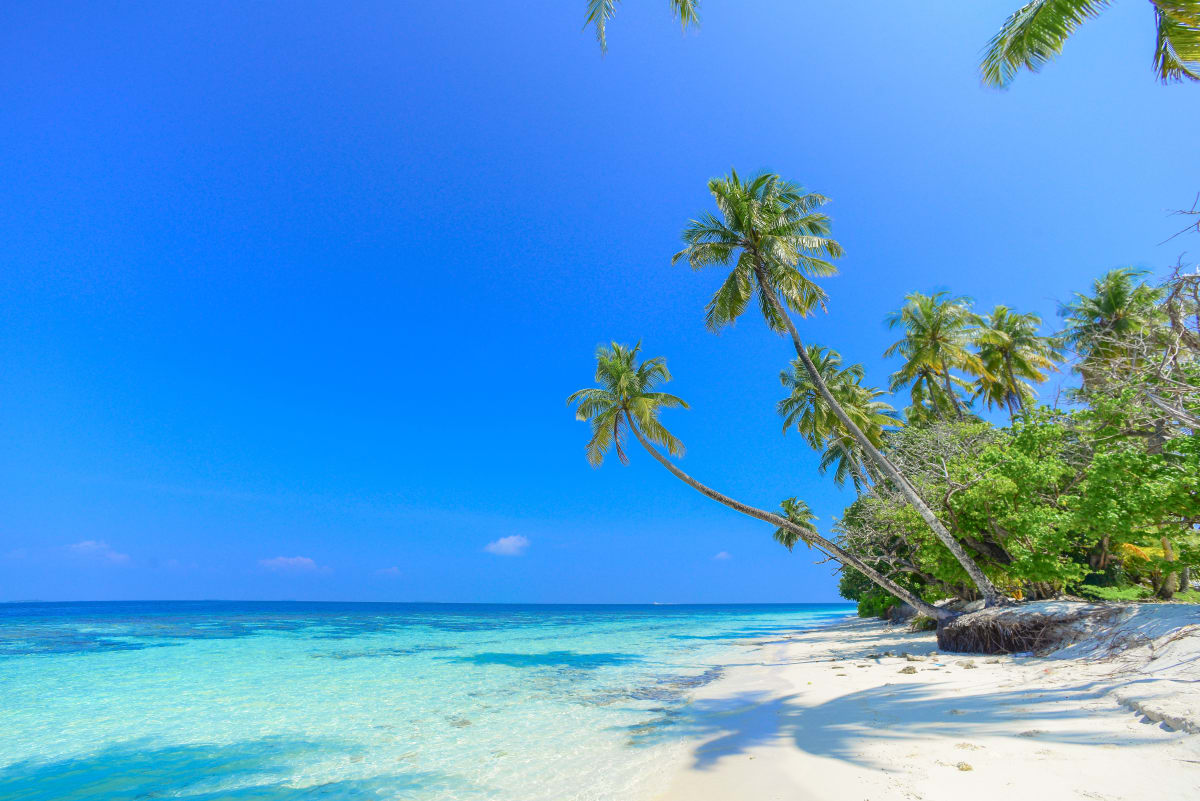 Palm-lined tropical beach with turquoise clear water under sunny February skies in Puerto Escondido, Mexico